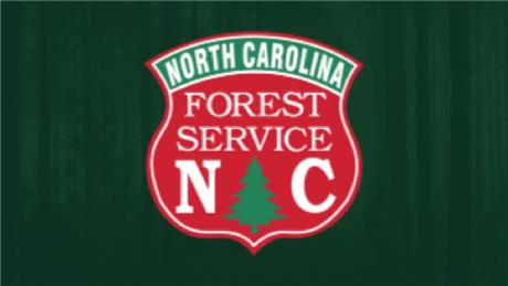 Group Banner Picture